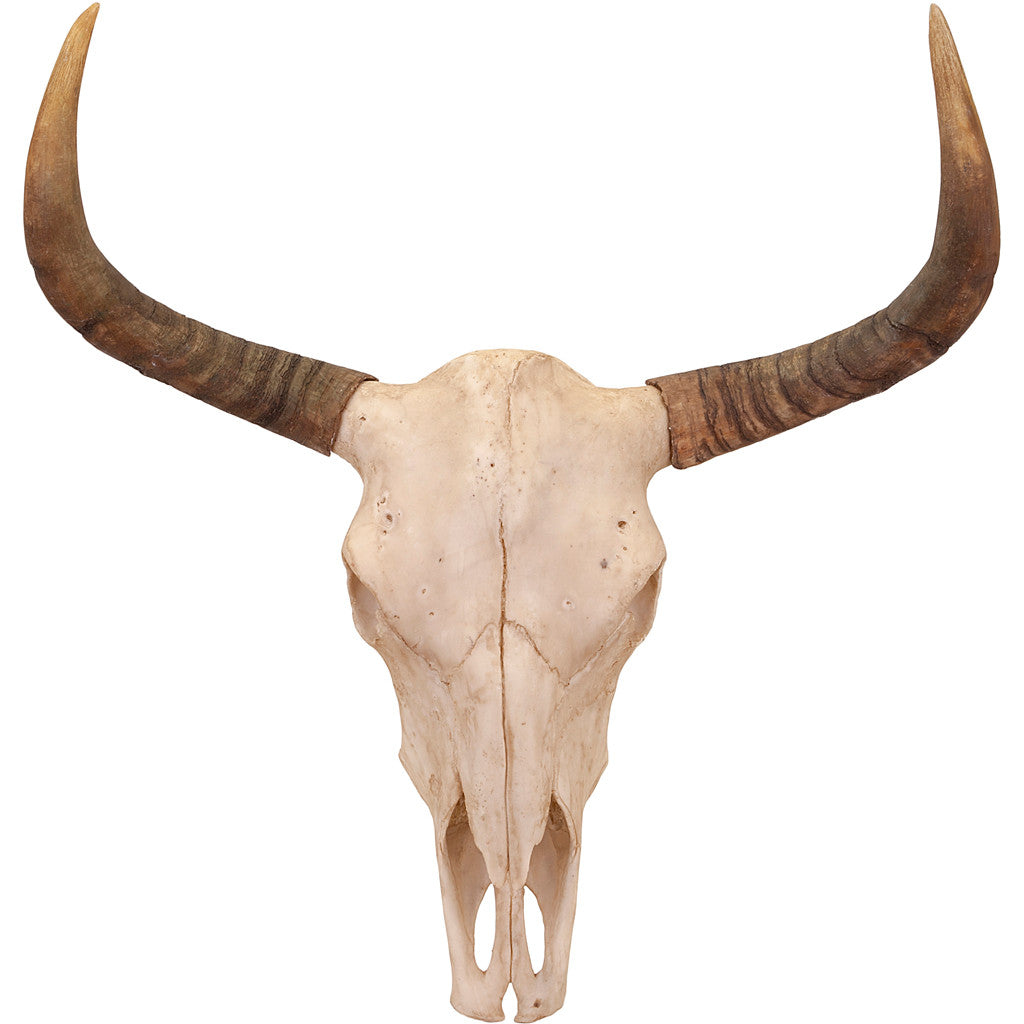 Baird Skull Wall Decor
