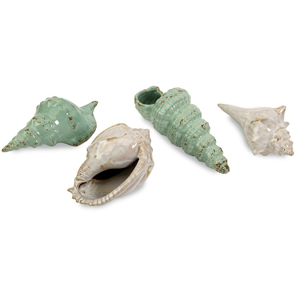 Sea Shells Collection (Set of 4)