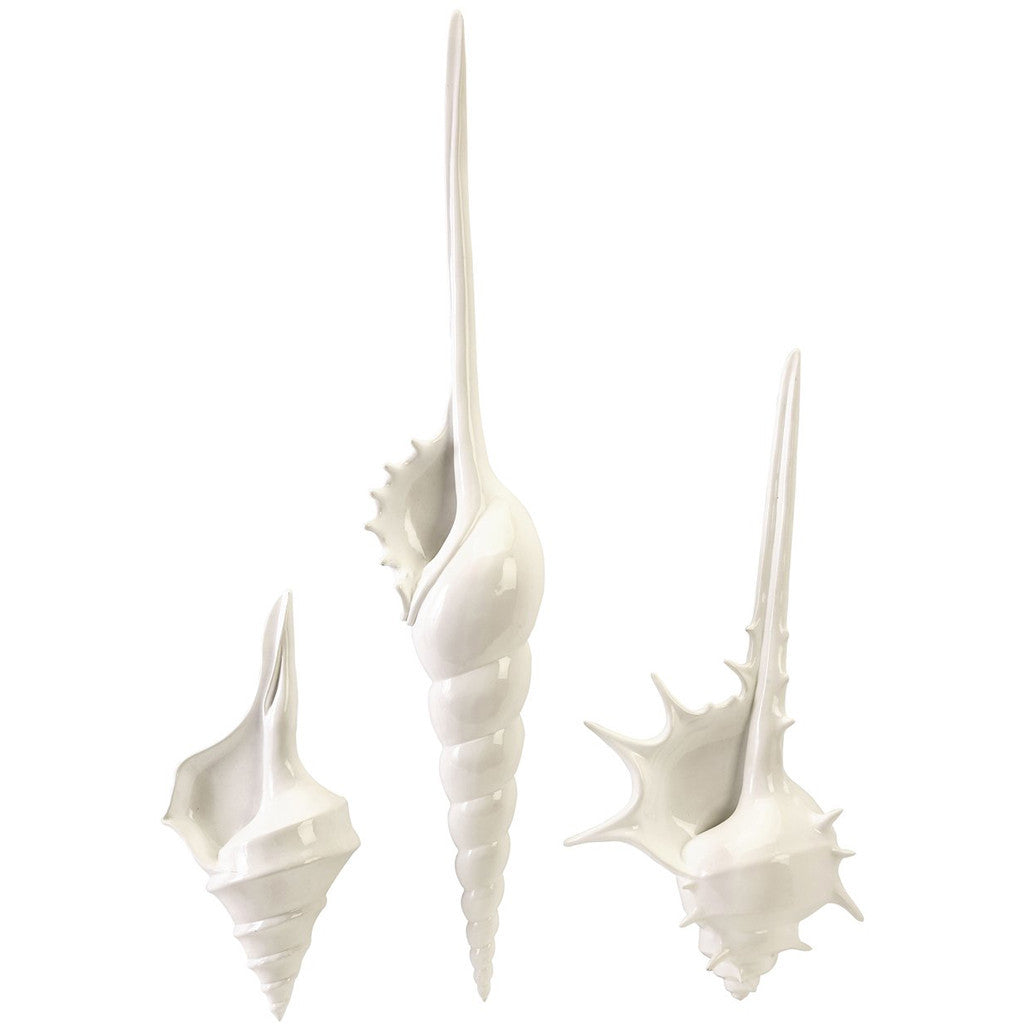 Delaware Shell Wall Decor (Set of 3)