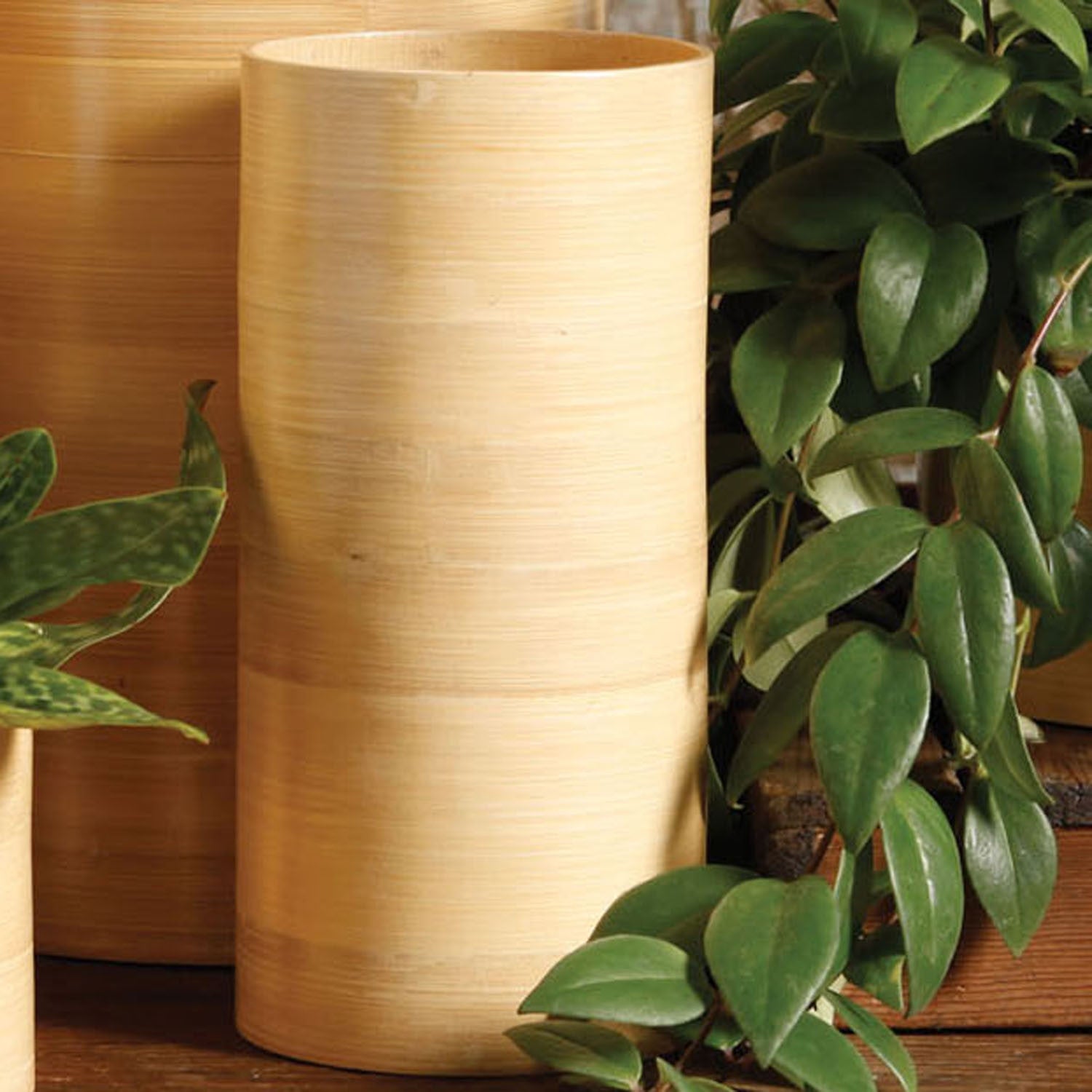 Sui Bamboo Vase
