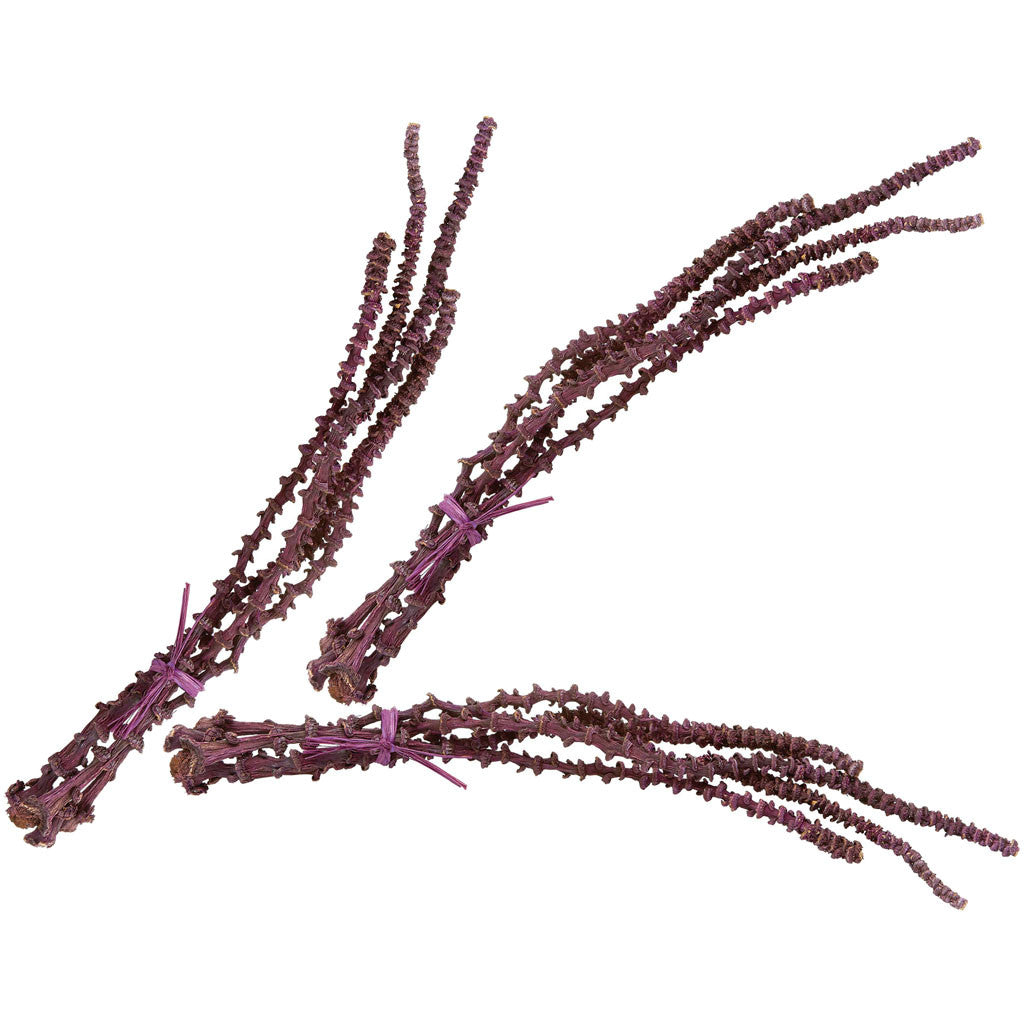 Oxblood Banana Stem Bunch (Set of 3)