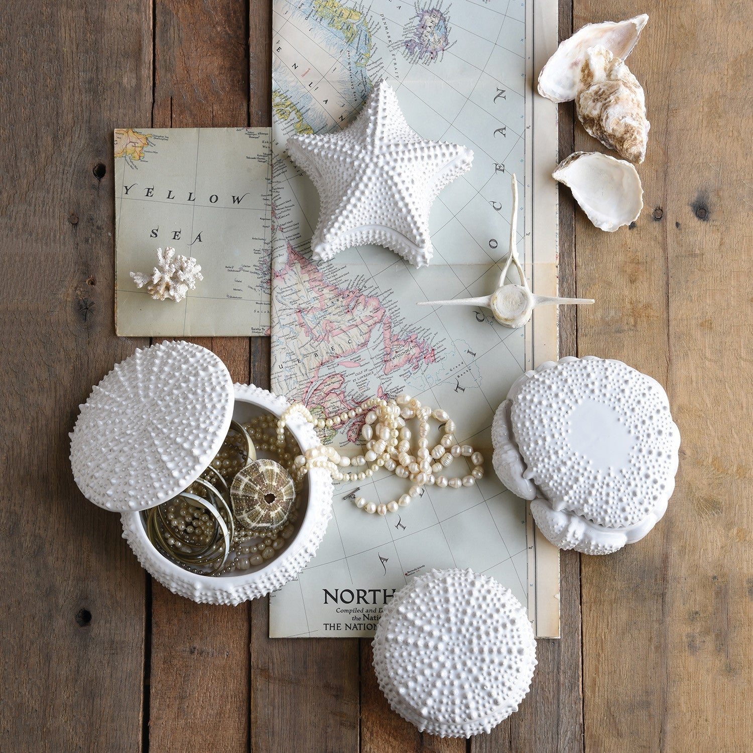Urchin Ceramic Box