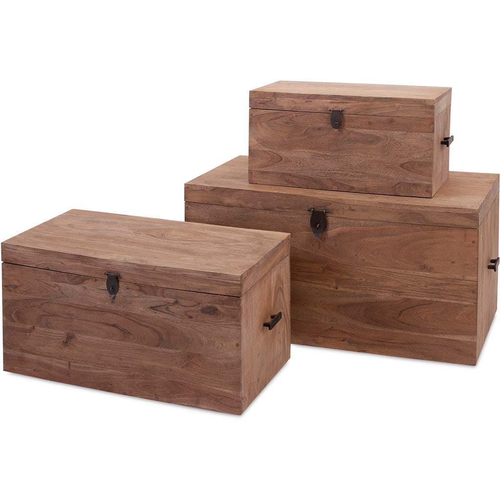 Uddin Acacia Wood Trunks (Set of 3)