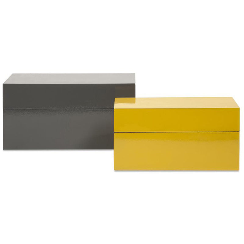 Wilcox Storage Boxes (Set of 2)