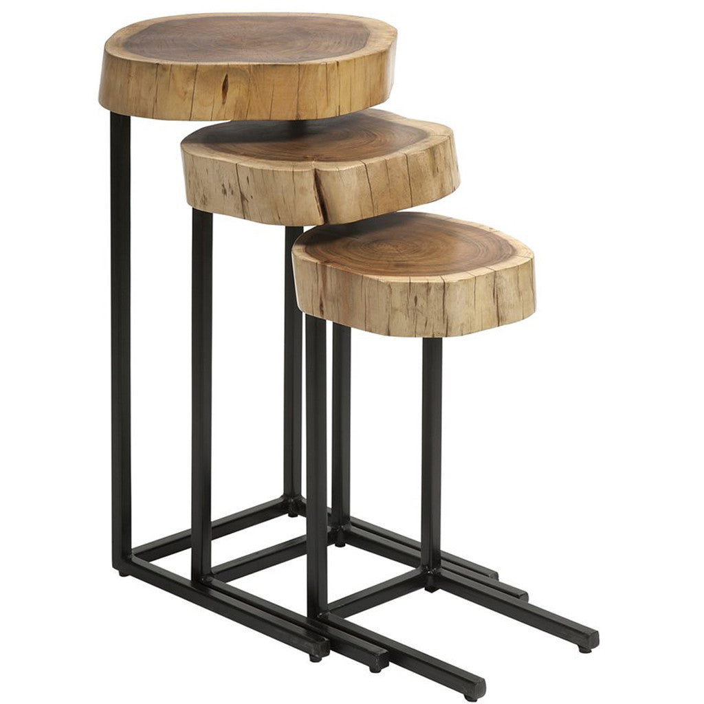 Newton Wood and Iron Nesting Tables (Set of 3)