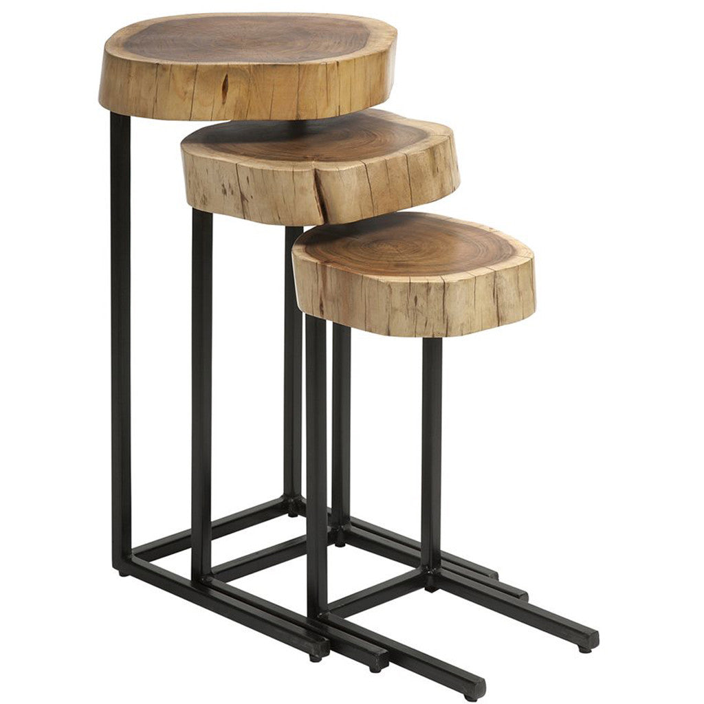 Newton 3-Piece Wood and Iron Nesting Tables