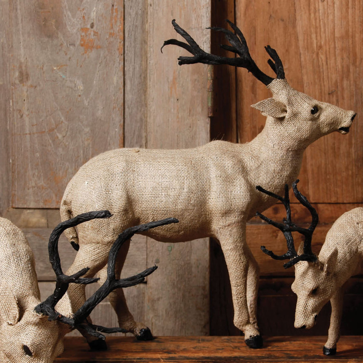 Burlap Small Stag Head Up
