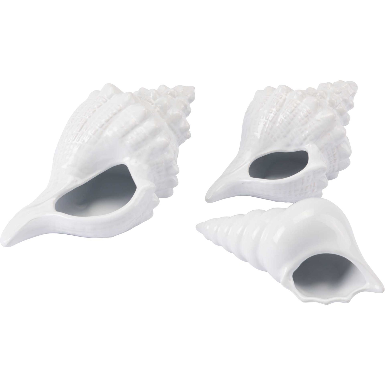 Coastal Ceramic Shell White