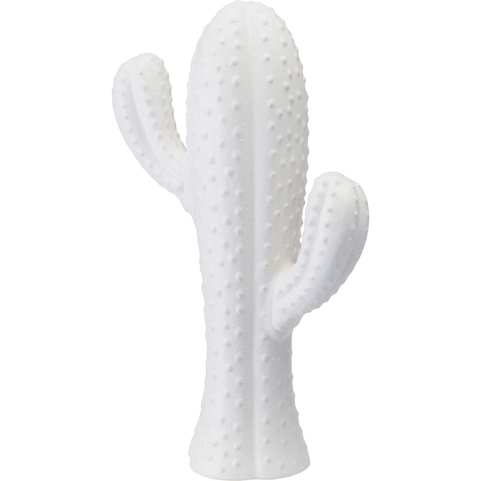 Cactus White