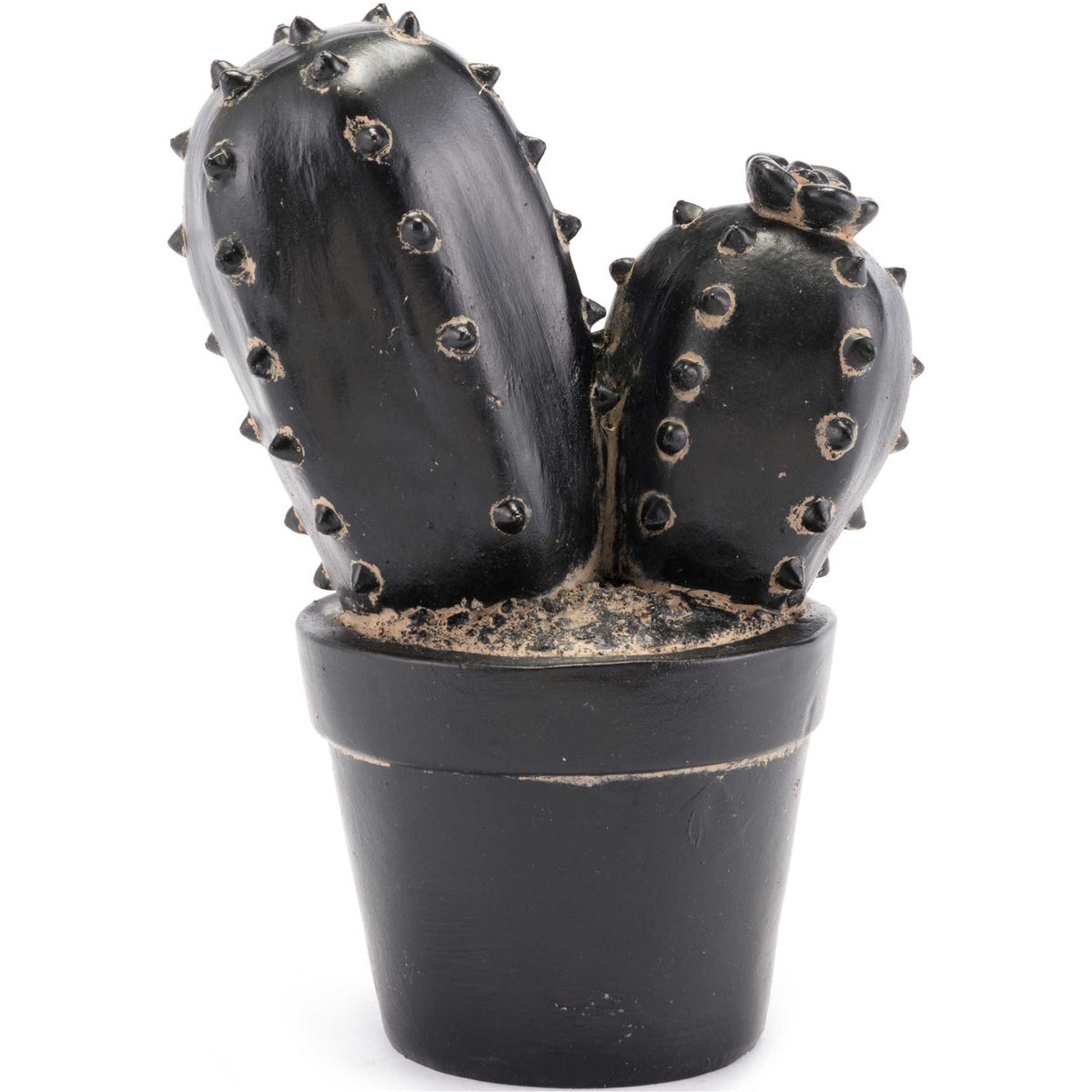 Peyote Cactus Black