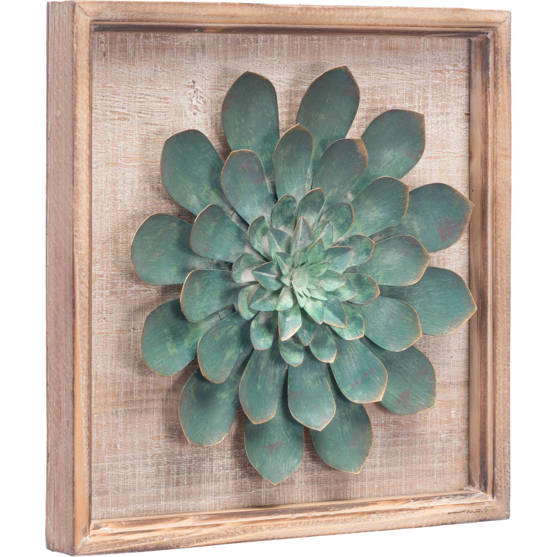 succulent accent wall Green Star Succulent Wall Decor