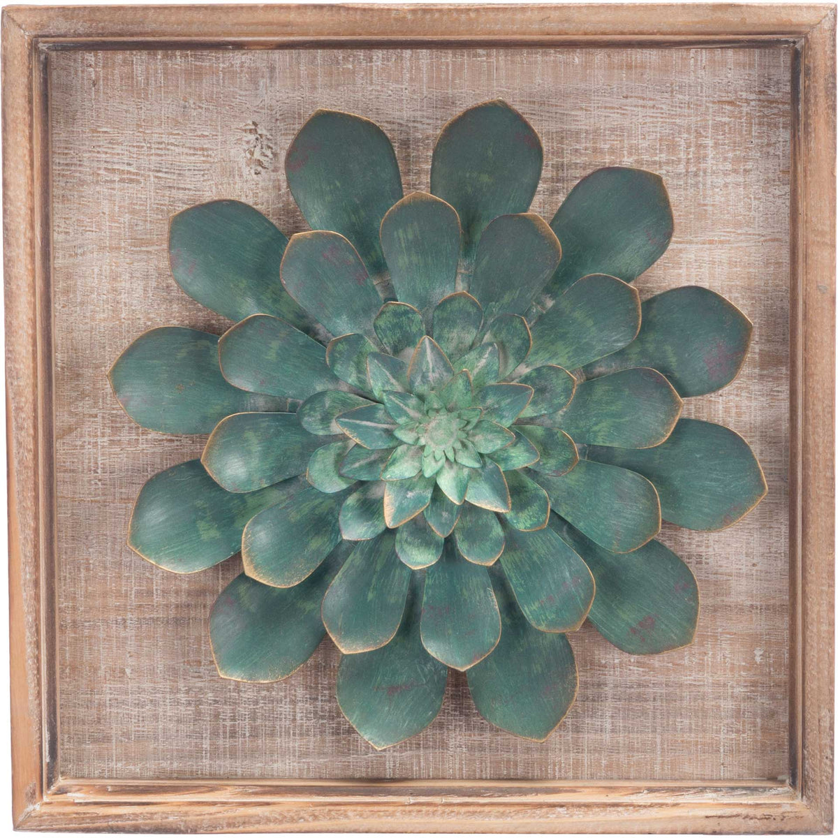 Green Star Succulent Wall Decor