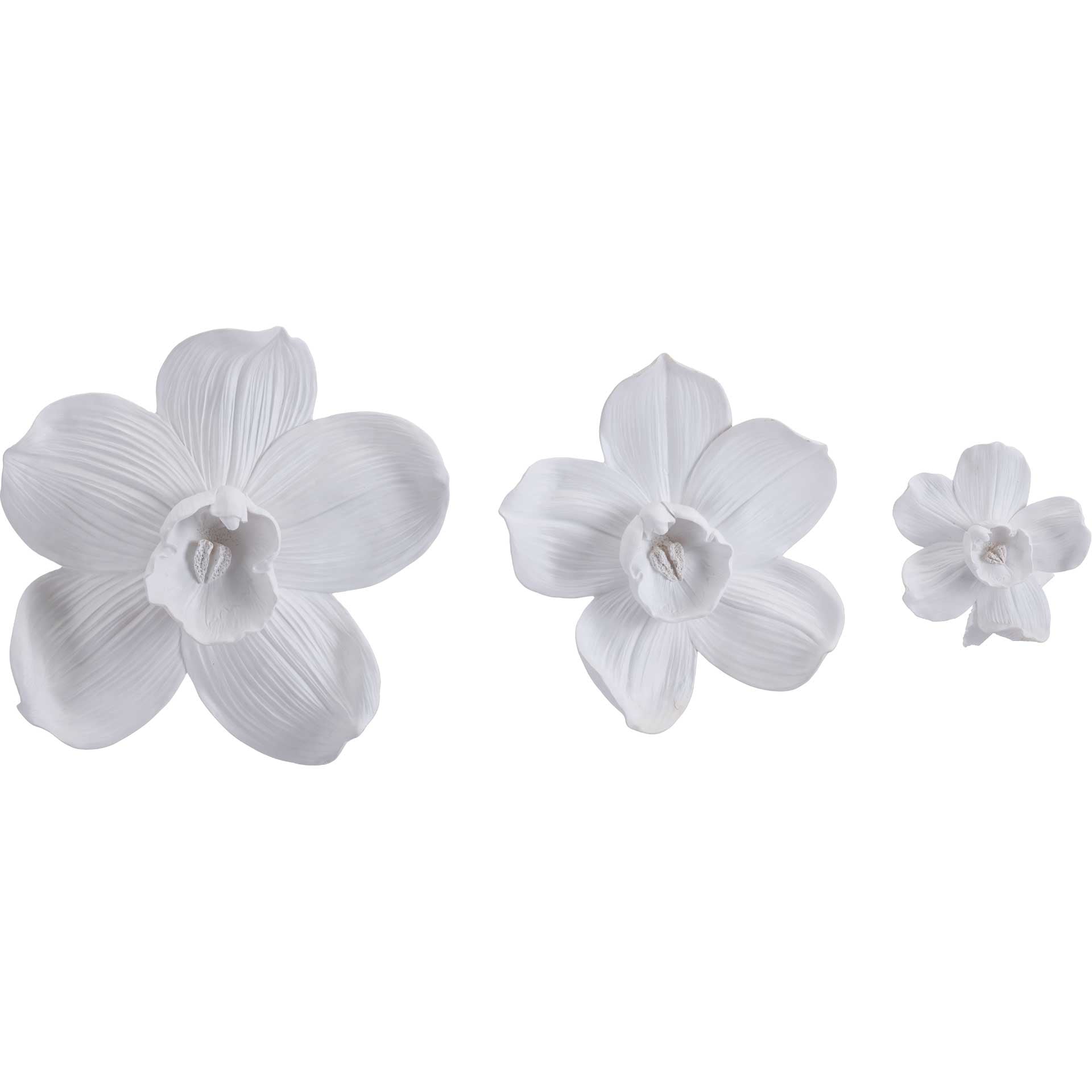 Orchid Wall Decor White