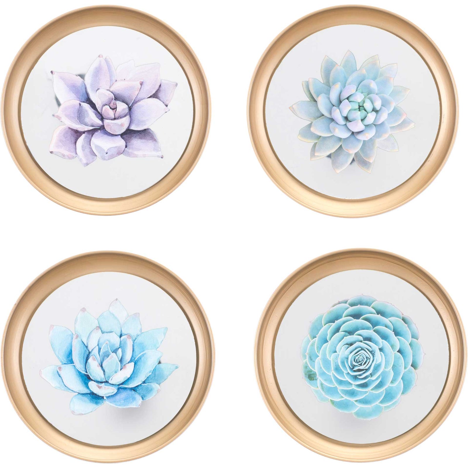 Pastel Succulents Plate (Set of 4)