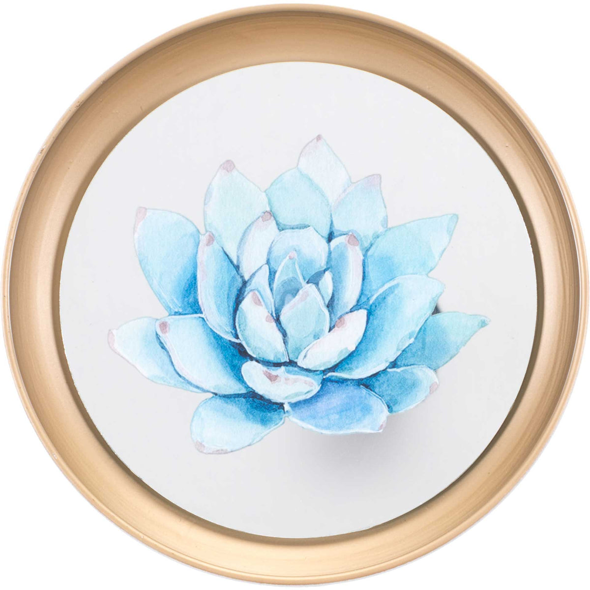 Pastel Succulents Plate (Set of 4)