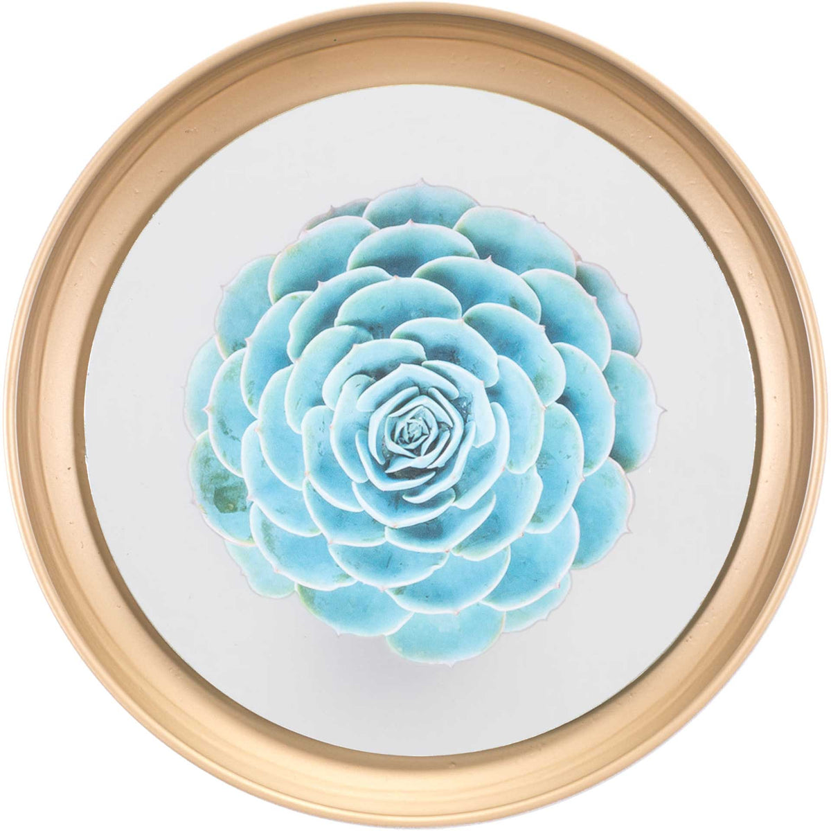 Pastel Succulents Plate (Set of 4)