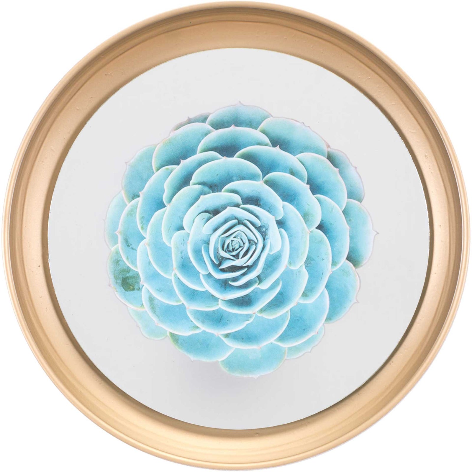 Pastel Succulents Plate (Set of 4)