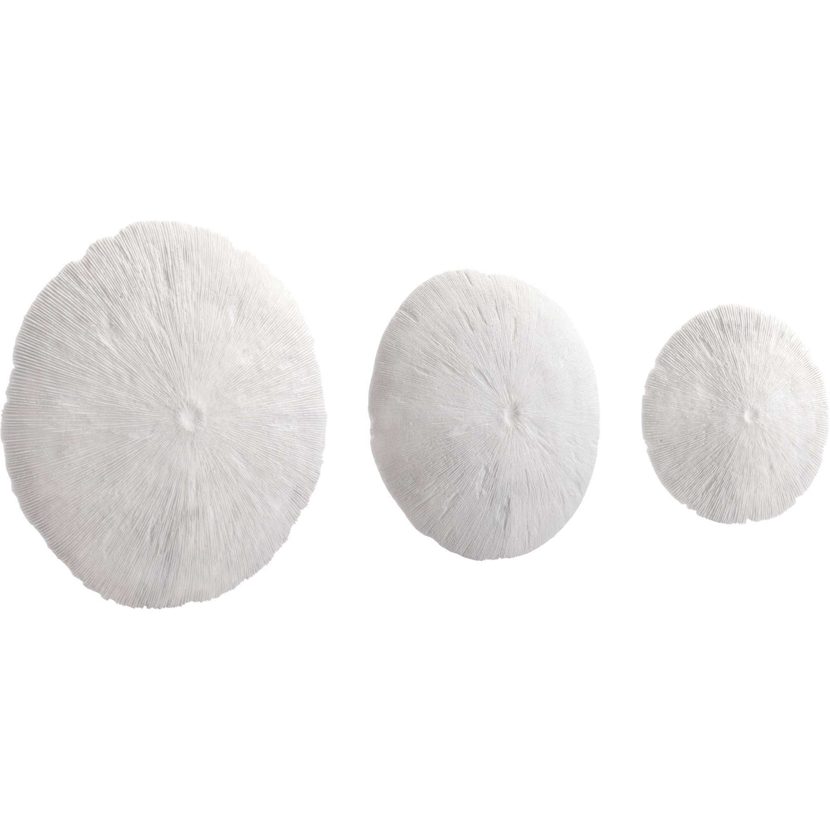Round Coral Plaque White