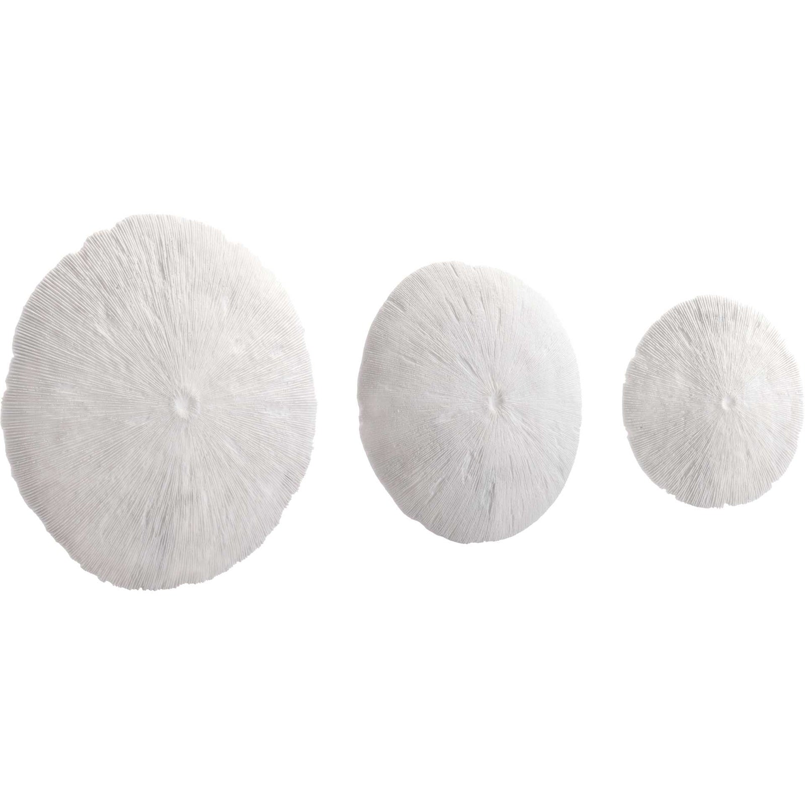 Round Coral Plaque White