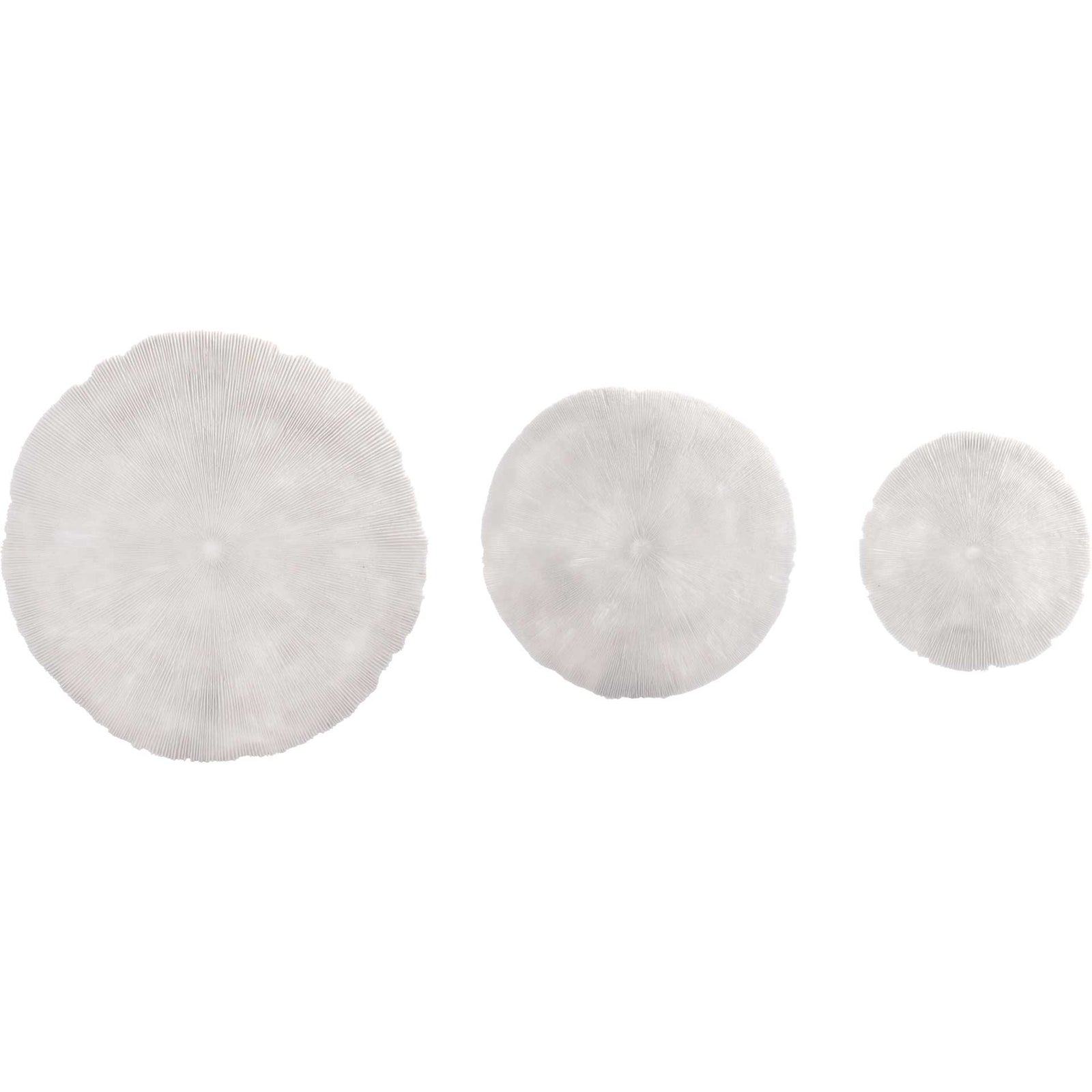 Round Coral Plaque White