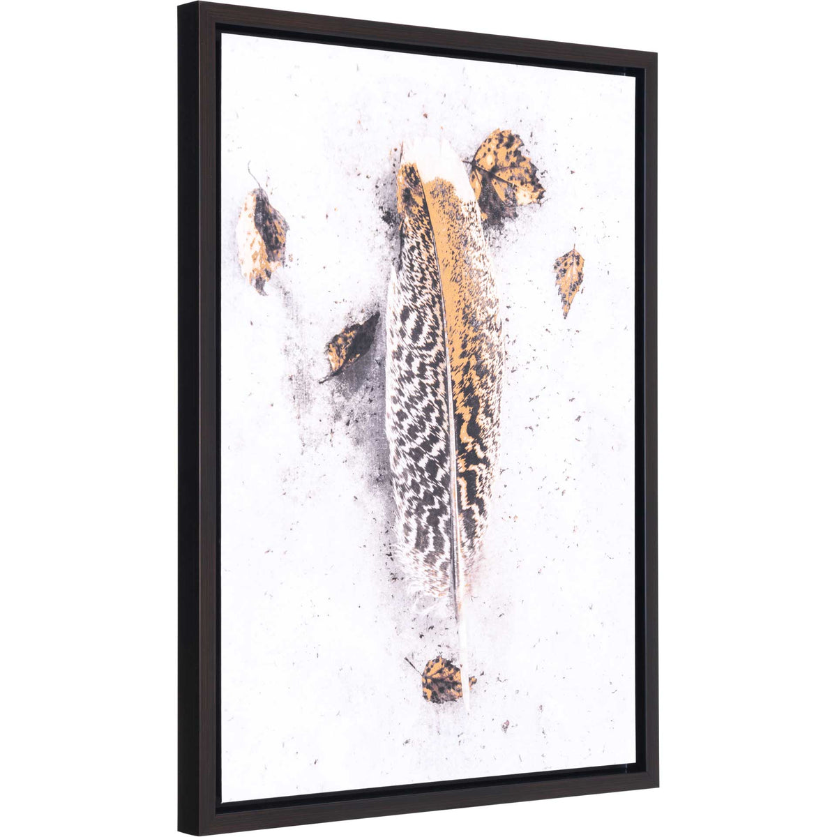 Feather Canvas White/Gold