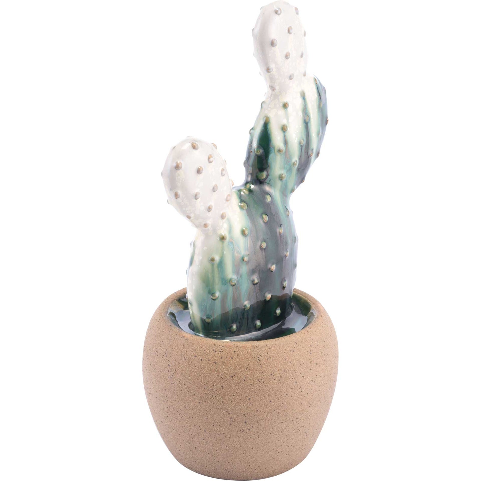 Agave Plant White/Green