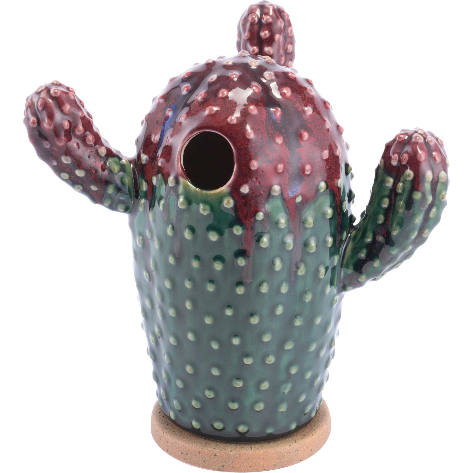 Agave Plant Purple/Green