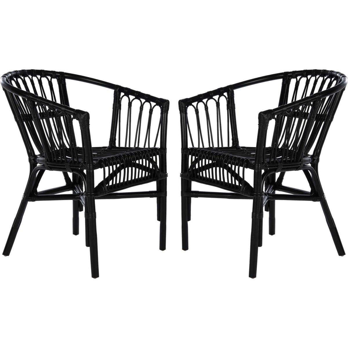Adhara Rattan Accent Chair Black (Set of 2)