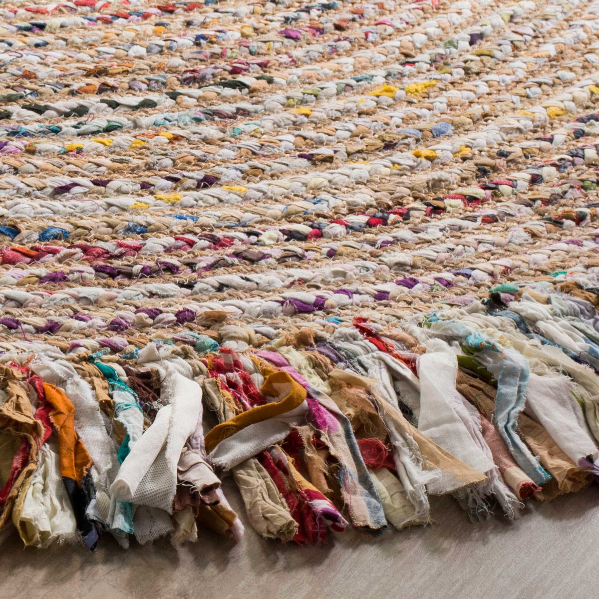 Chunky, color-flecked braids and loose fabric fringe lend texture to this rug's edge.