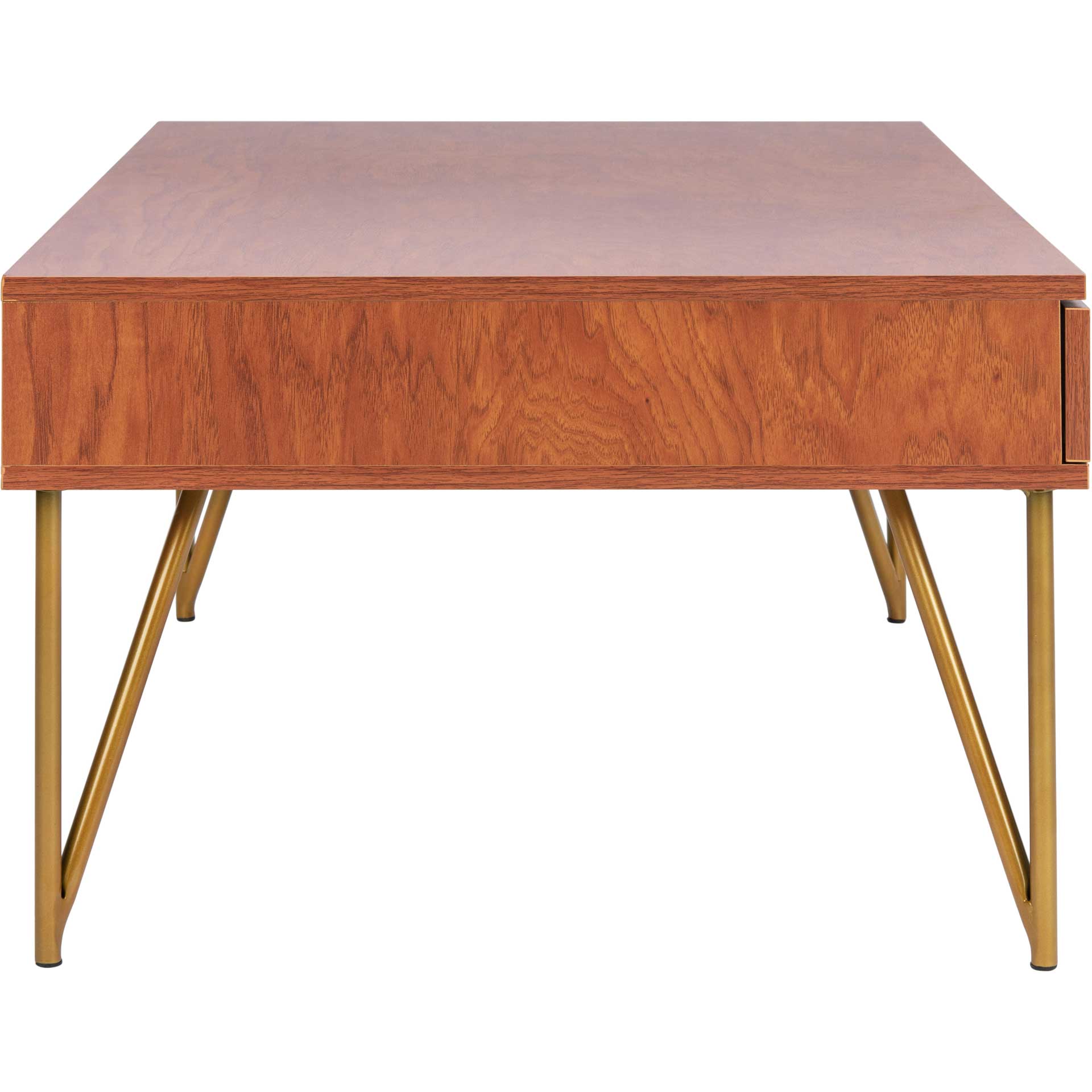 Pierce Two Drawer Coffee Table Natural/Gold