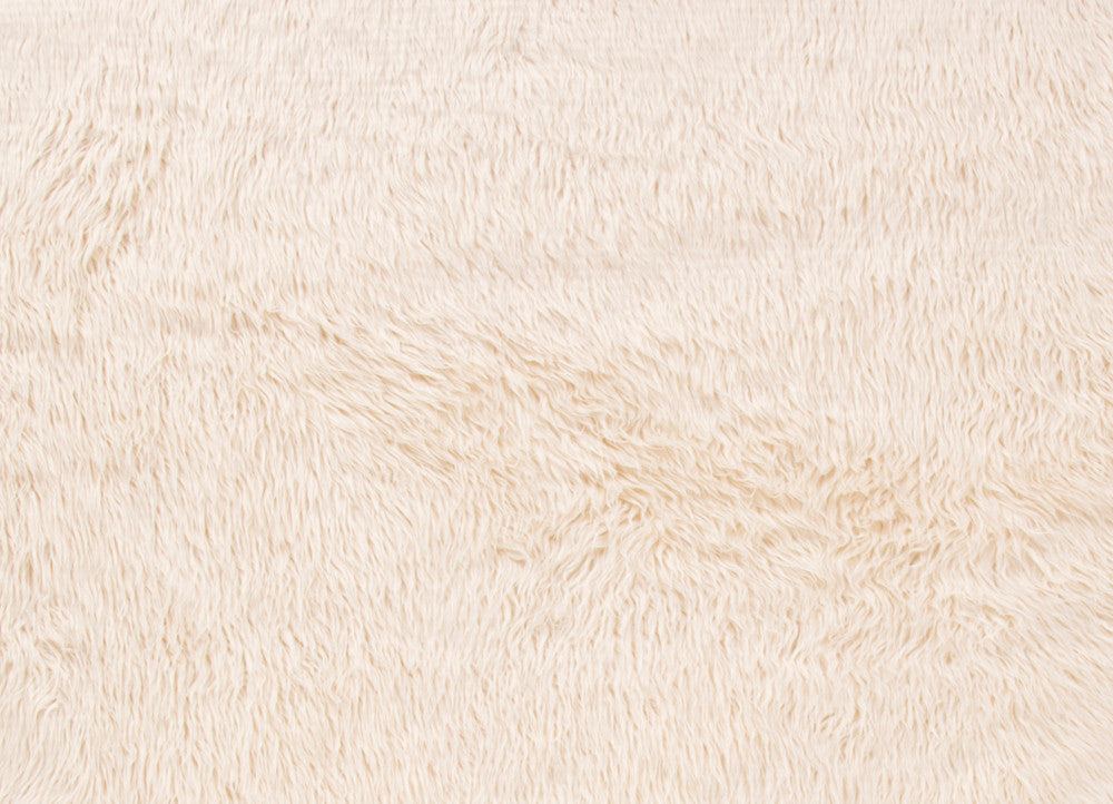 Heron Ivory/White Area Rug