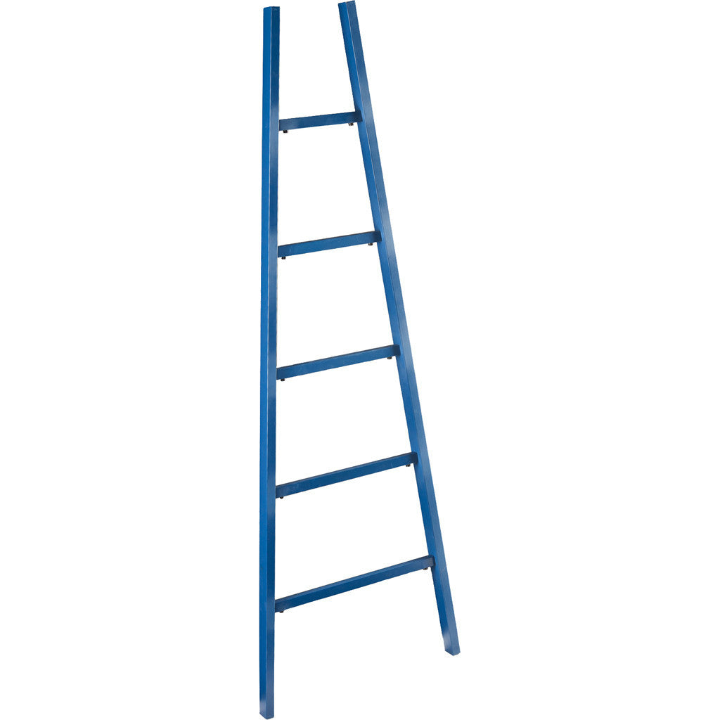 Zhowie Storage Ladder