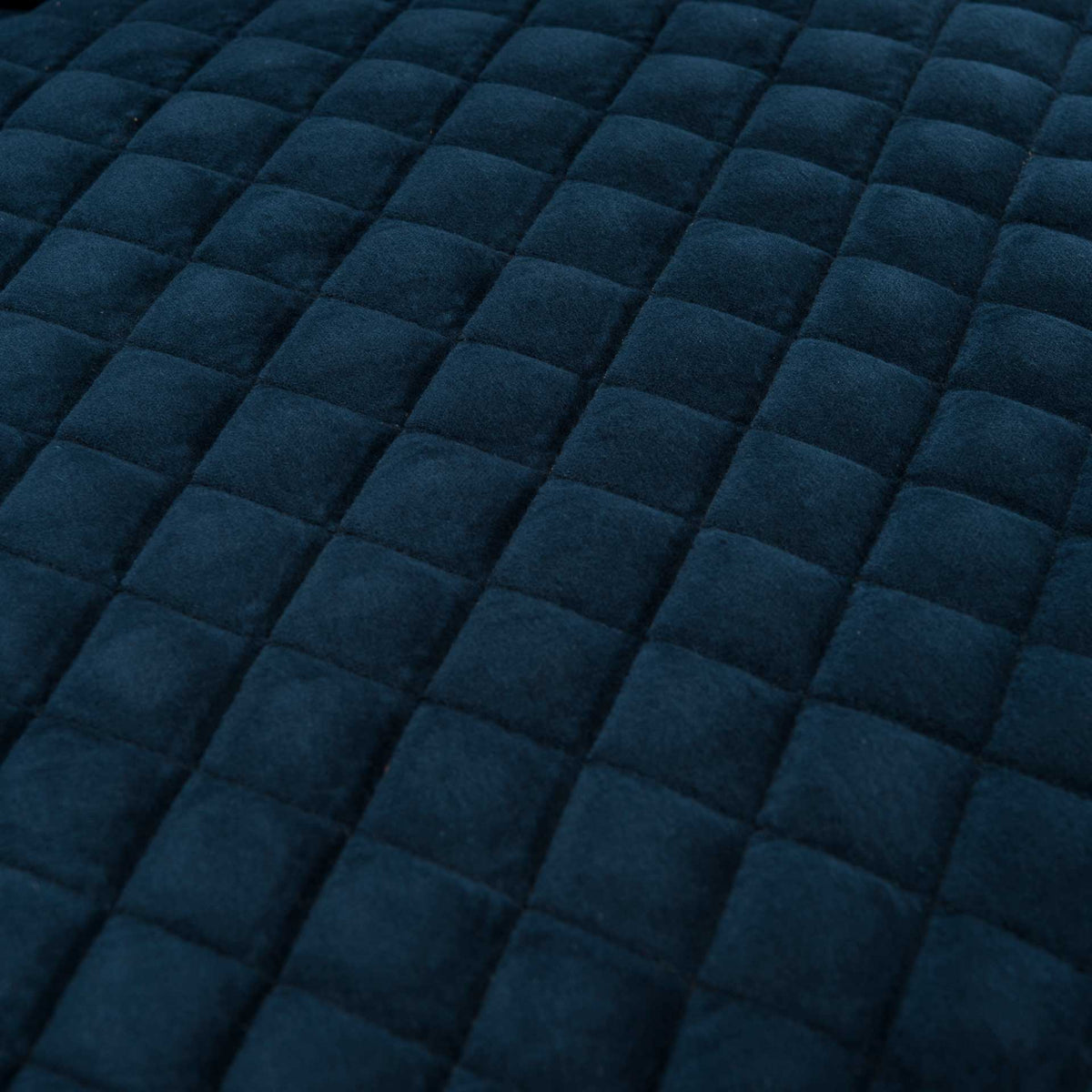 Maggie Acrylic Arm Chair Navy Blue