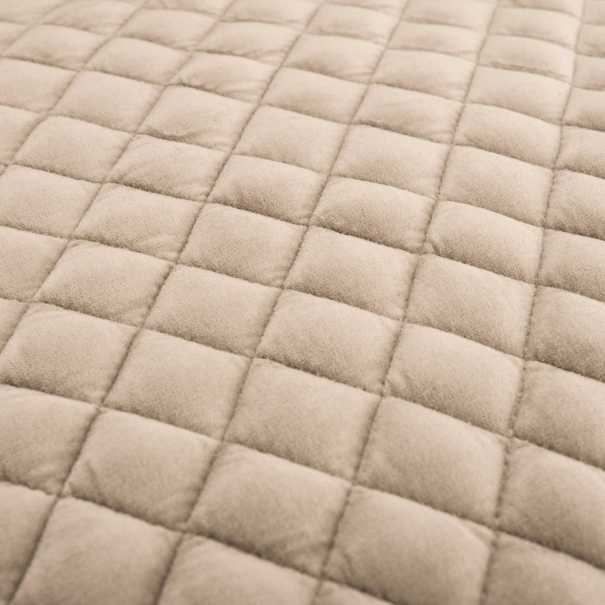 Maggie Acrylic Arm Chair Taupe