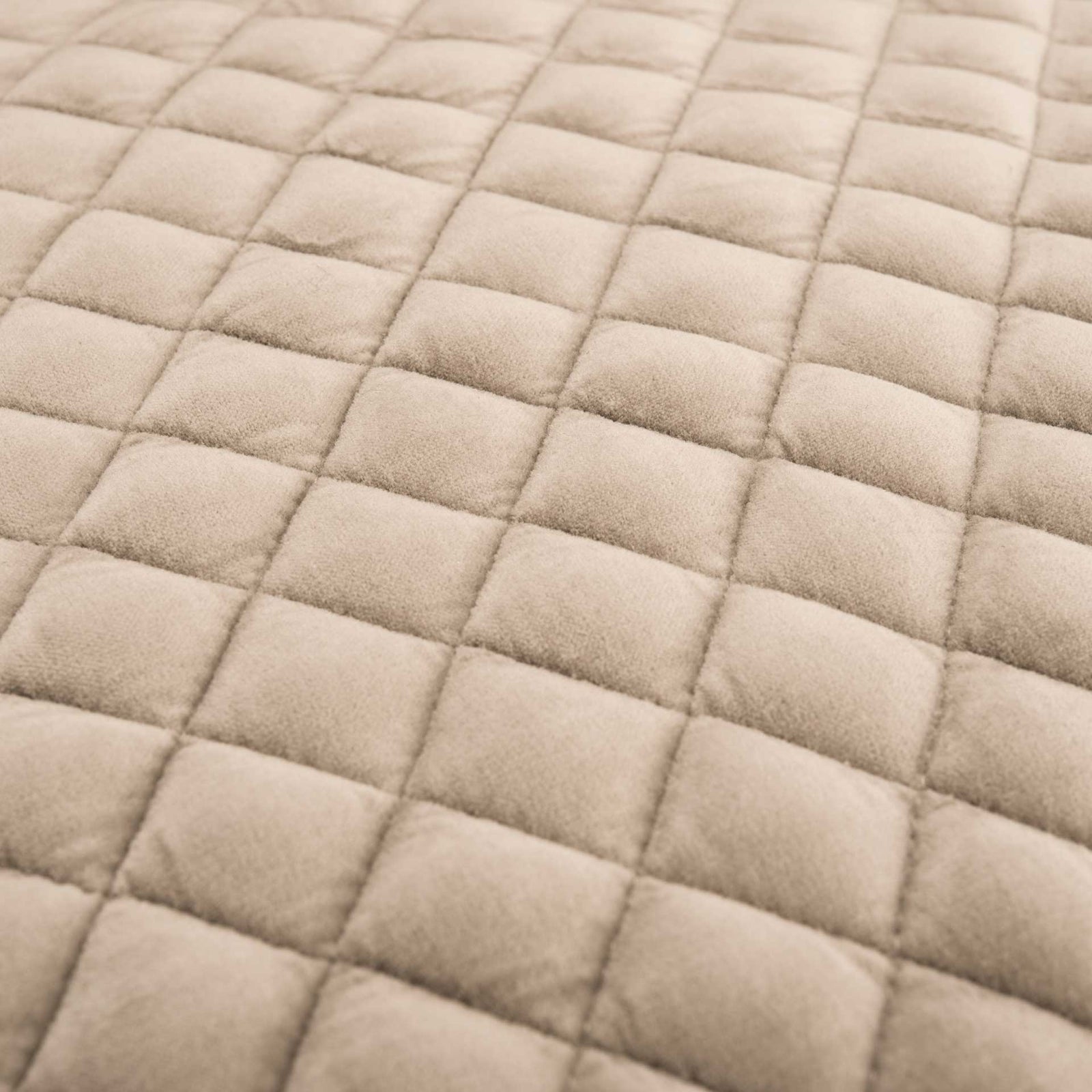 Maggie Acrylic Arm Chair Taupe