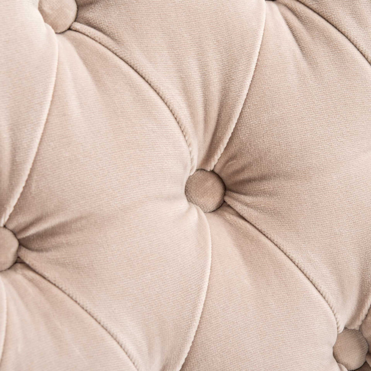 Manning Velvet Arm Chair Giotto Almond