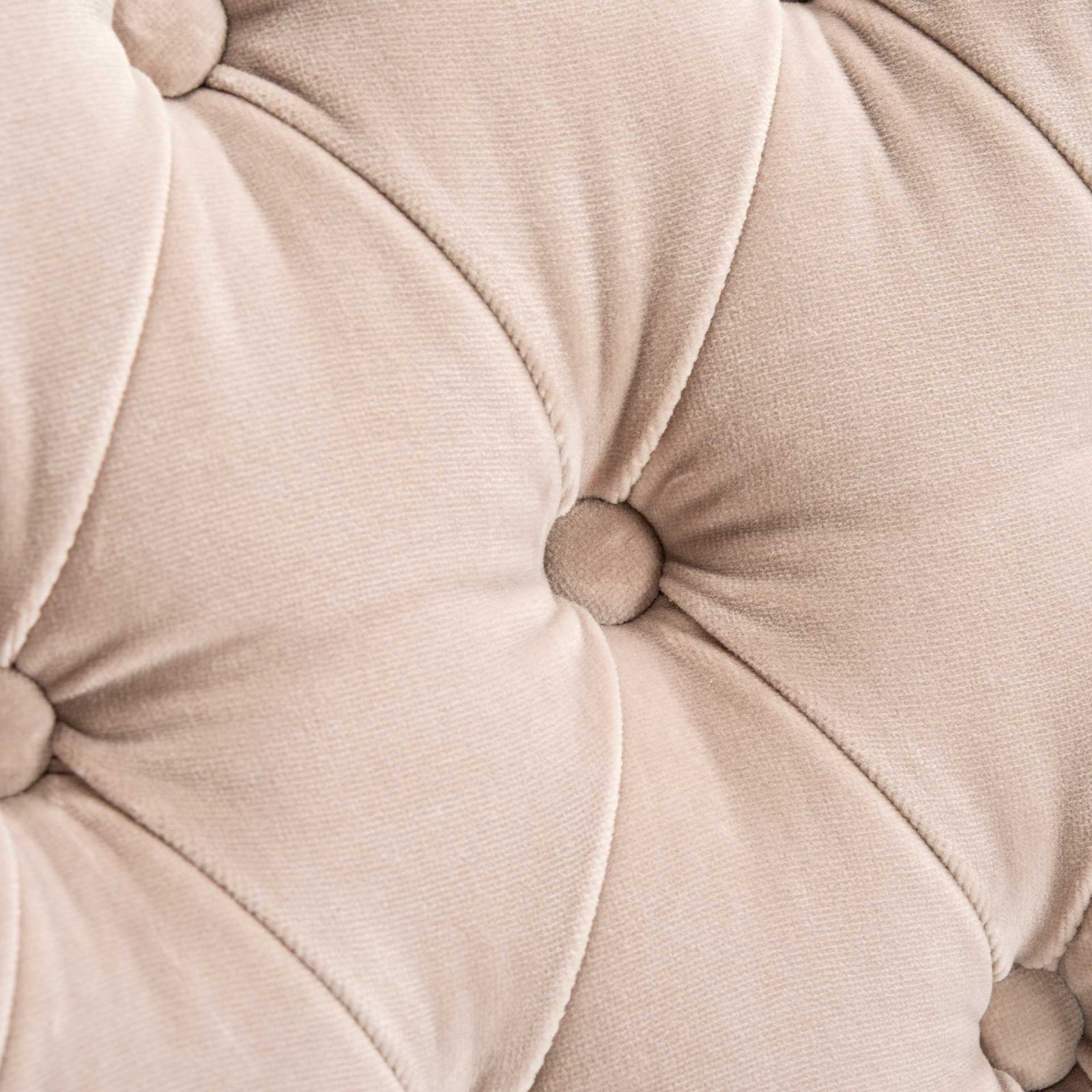 Manning Velvet Arm Chair Giotto Almond