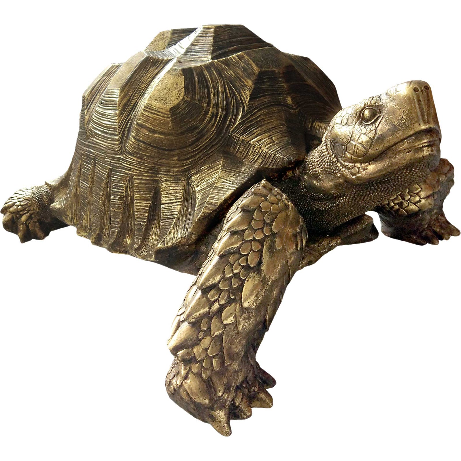 Morla Turtle Sculpture