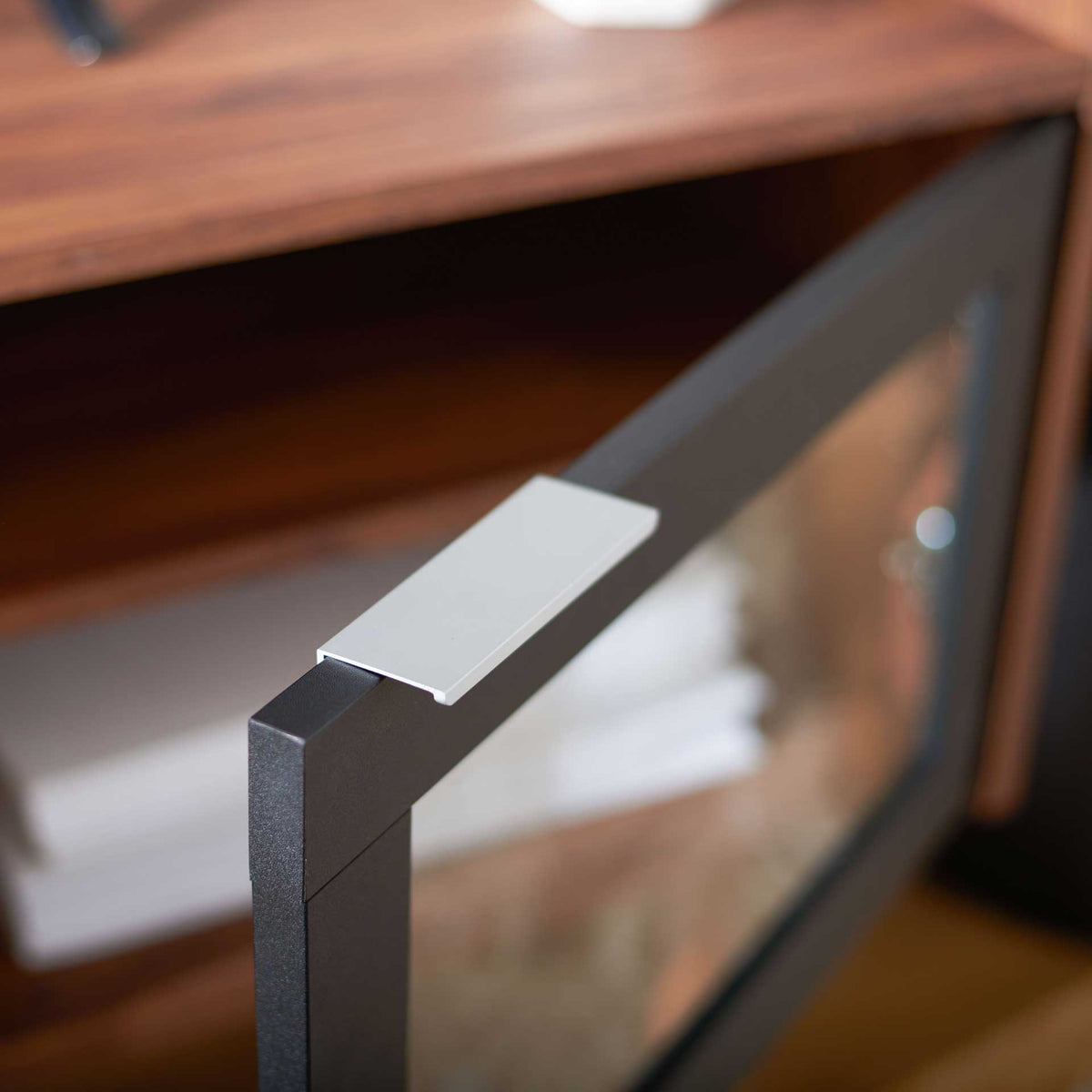 A slim silver pull opens the black-framed glass door to warm wood-tone media storage.
