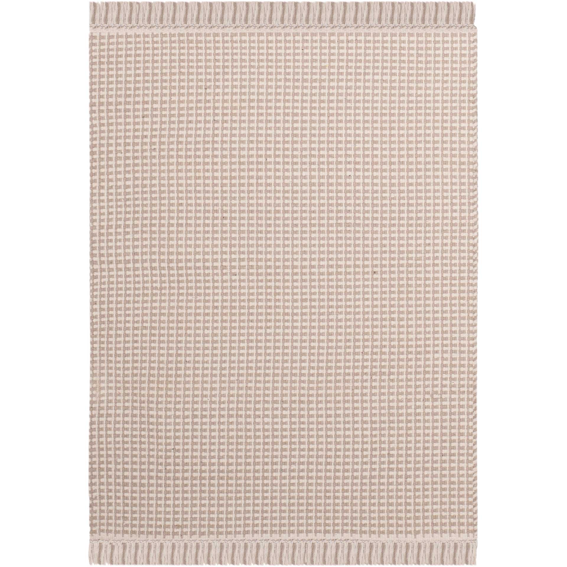 Montauk Fringe Ivory/Gray Area Rug - Froy.com