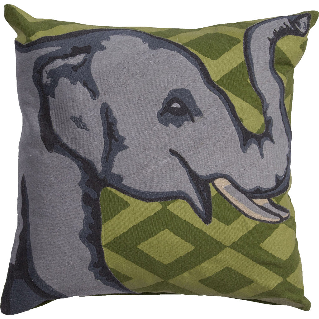 National Geographic Ng-17 Piquant Green/Lettuce Green Pillow