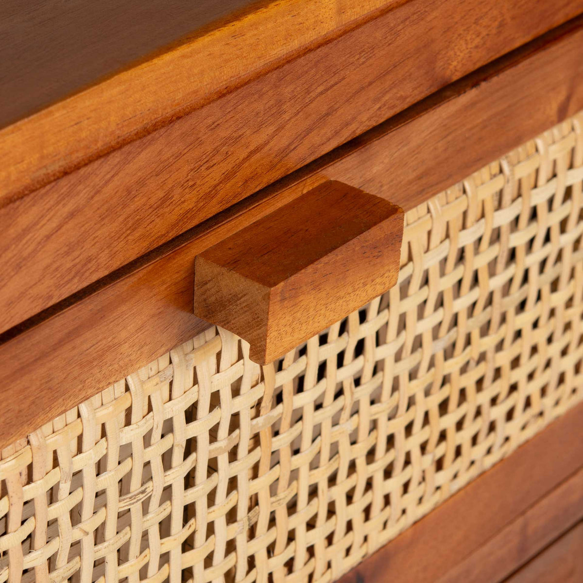 Delia 1 Drawer 1 Door Nightstand Natural