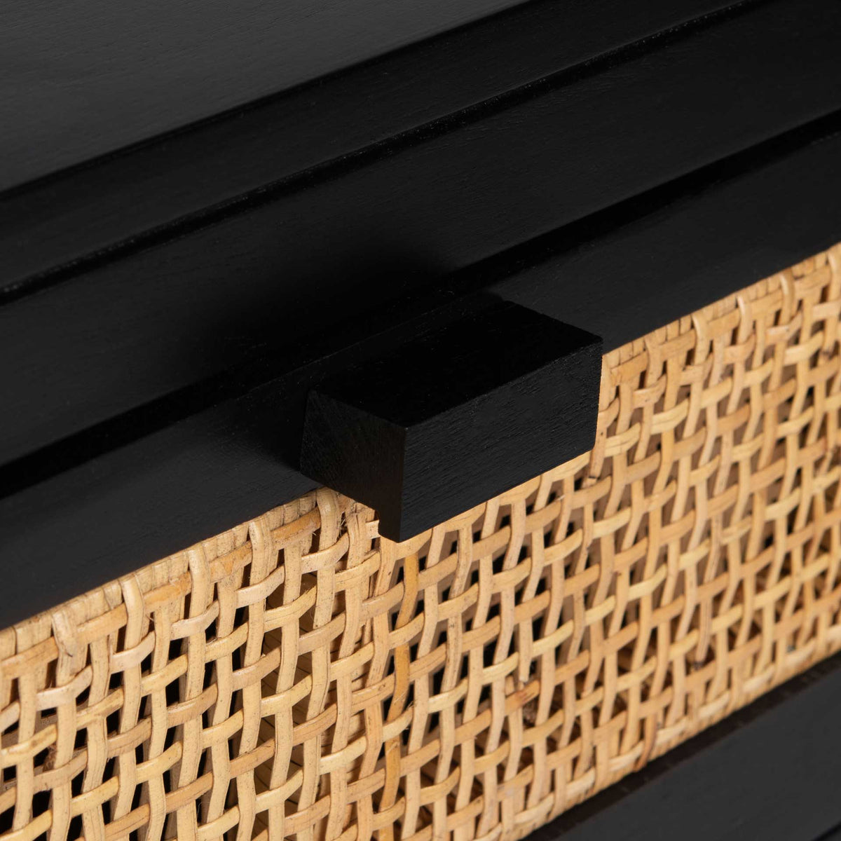 Delia 1 Drawer 1 Door Nightstand Black/Natural