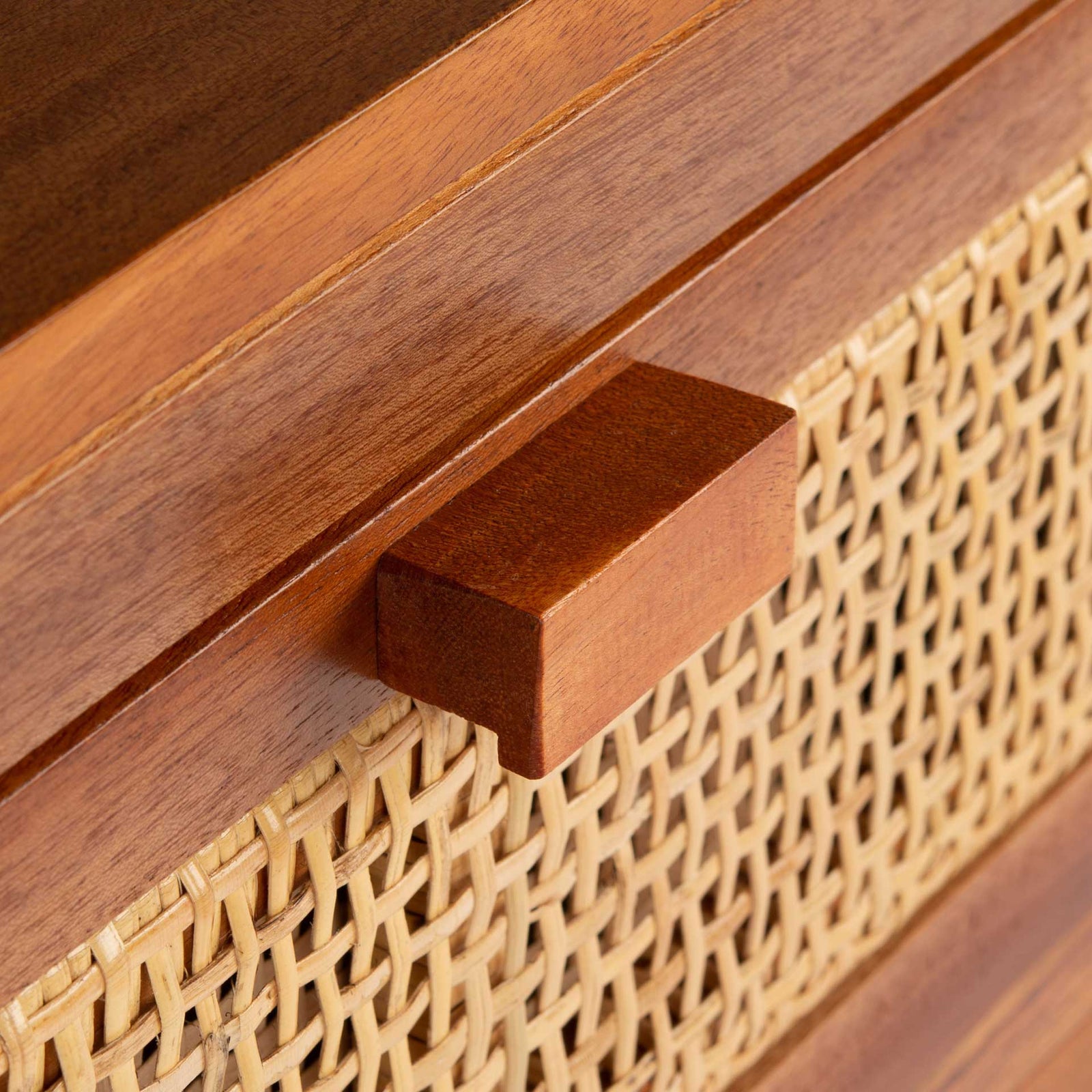 Daphne 1 Drawer 1 Door Nightstand Natural