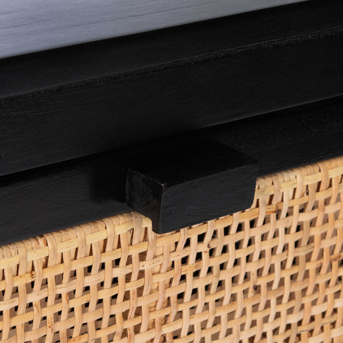 Daphne 1 Drawer 1 Door Nightstand Black/Natural