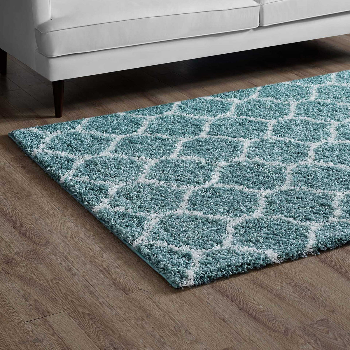 Aqua and ivory trellis shag softens the wood floor beside a white sofa