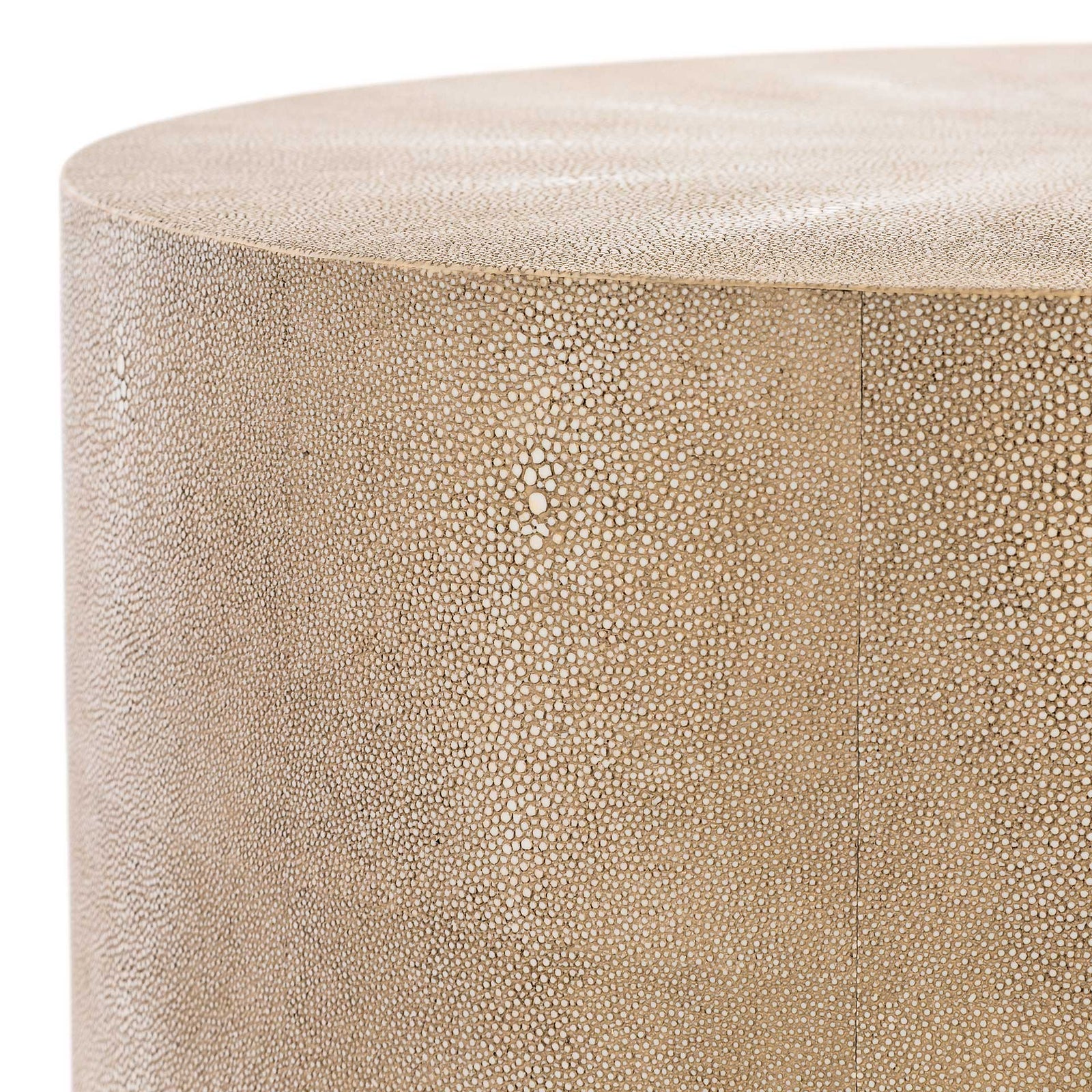 Digress Faux Shagreen End Table Natural