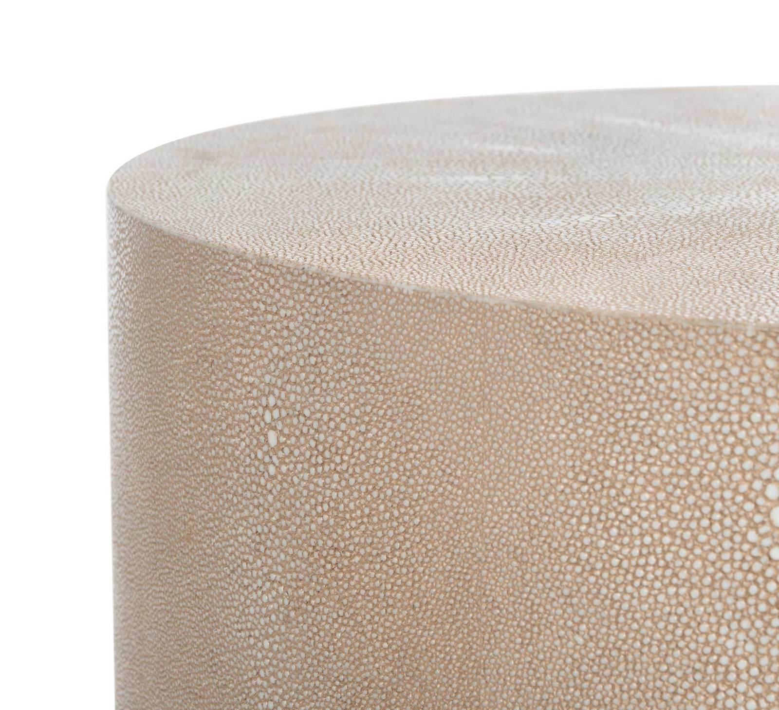 Digress Faux Shagreen End Table Natural