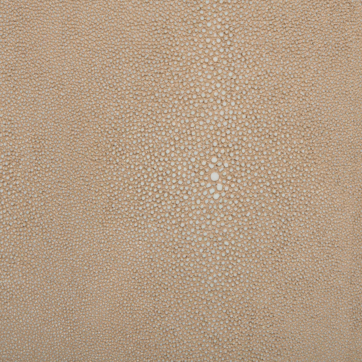 Digress Faux Shagreen End Table Natural