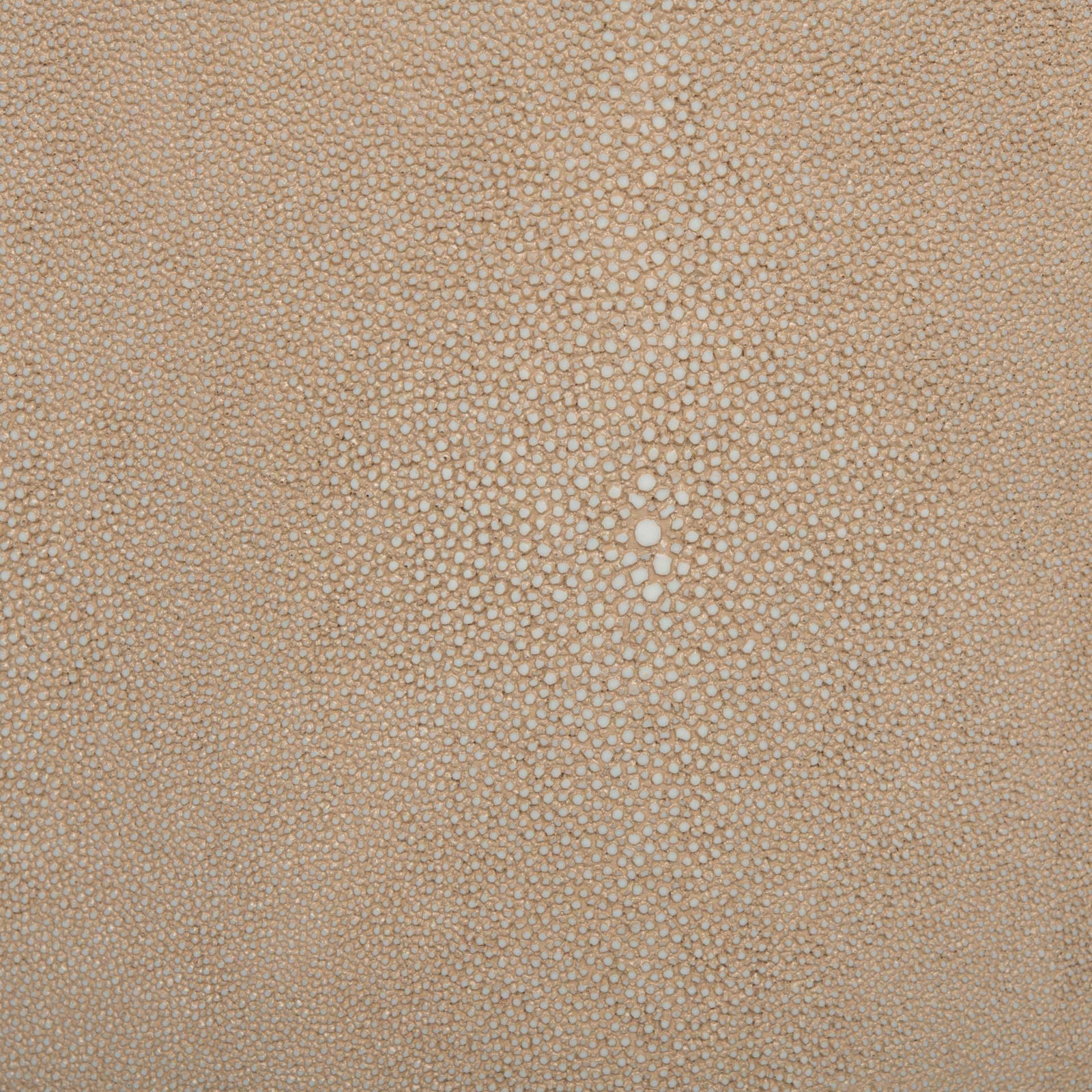 Digress Faux Shagreen End Table Natural